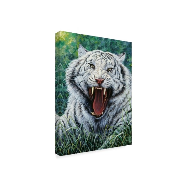 Jeff Tift 'White Tiger Roar' Canvas Art,18x24